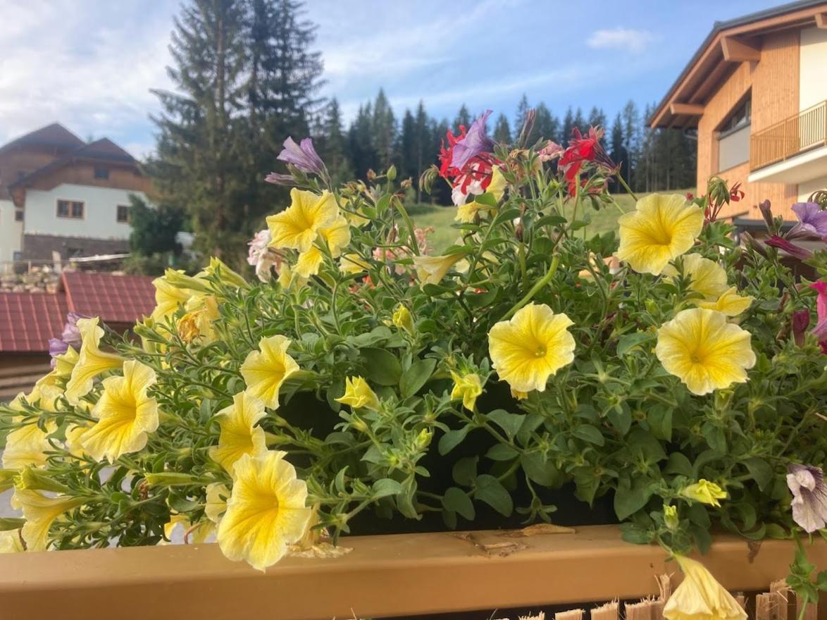Jara Apartment- Ramsau Am Dachstein Eksteriør billede